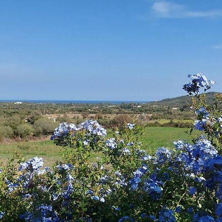 La Casa Di Eve Villa Budoni Buitenkant foto