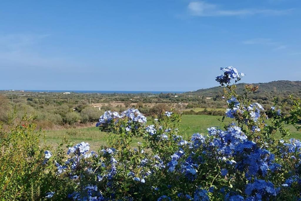 La Casa Di Eve Villa Budoni Buitenkant foto