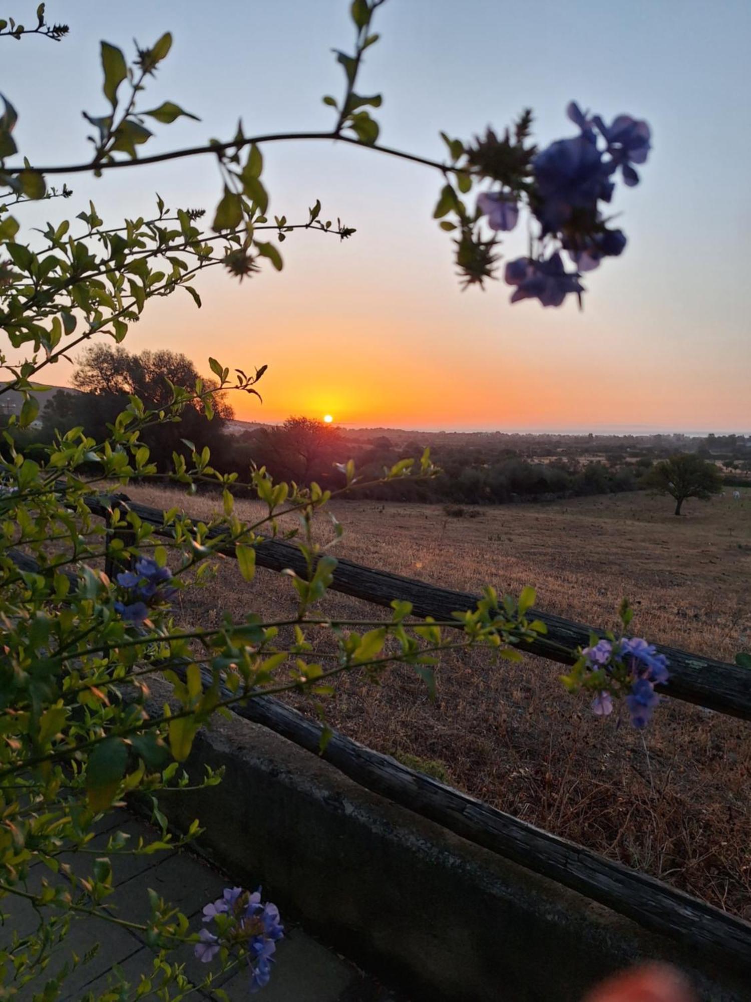 La Casa Di Eve Villa Budoni Buitenkant foto