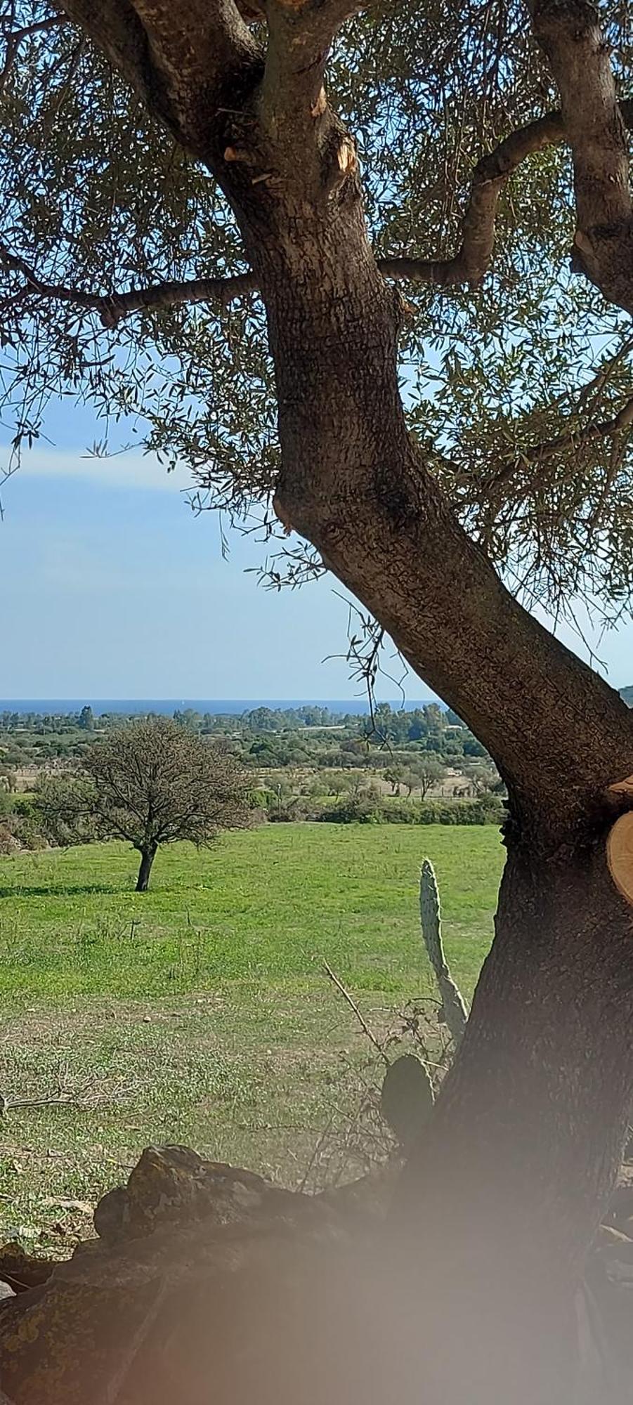 La Casa Di Eve Villa Budoni Buitenkant foto