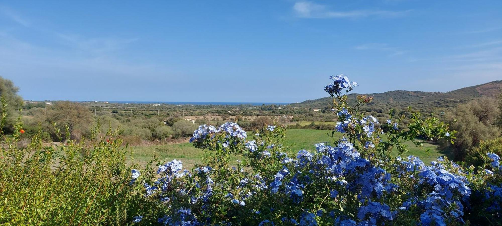 La Casa Di Eve Villa Budoni Buitenkant foto